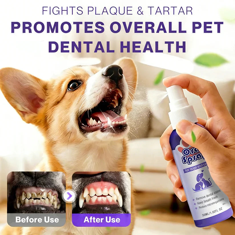 Pet Oral Spray