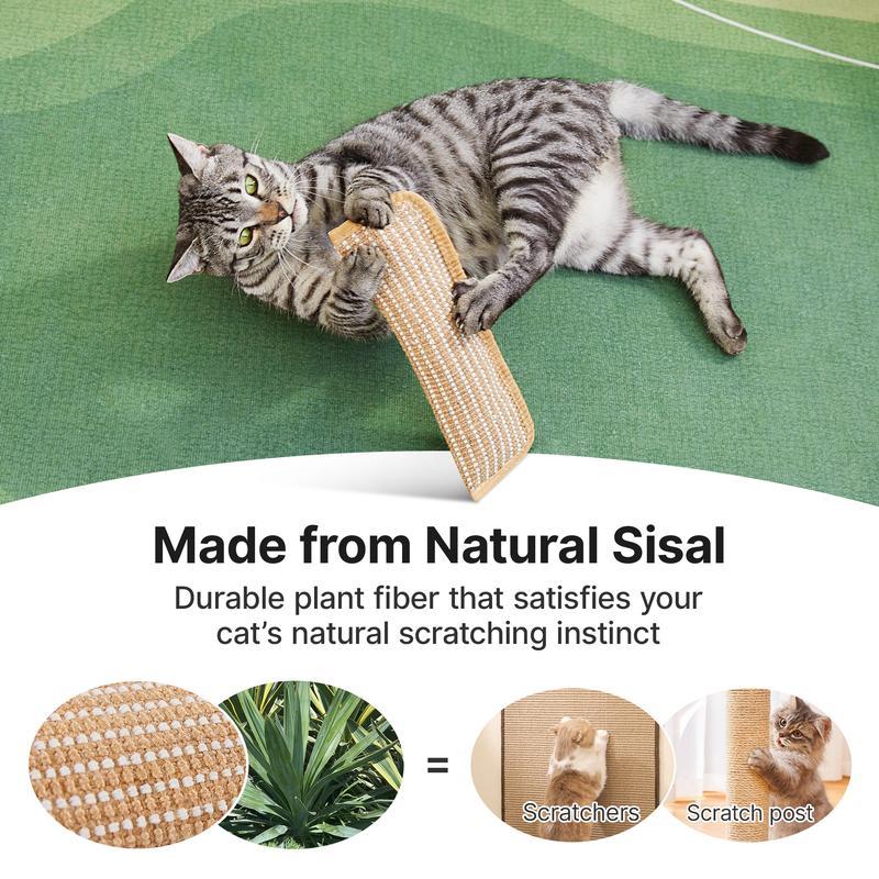 🐈 Interactive Catnip Chew Toy, Soft Material Scratching and Kicker Cat Toys for Indoor Kittens