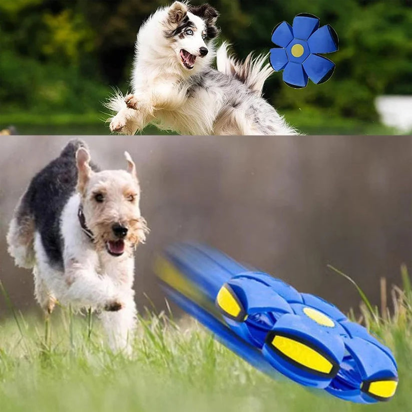 Throw a Disc. Catch a Ball. Defy Gravity
